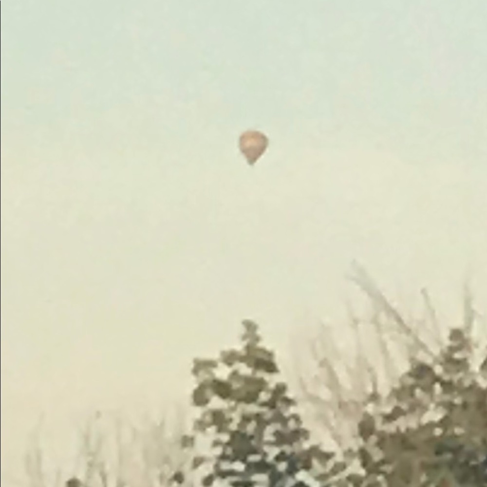 Meet your Posher, Summer